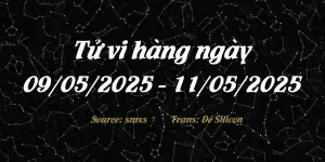 TVHN.09052025-11052025.webp