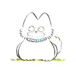 1747216174484.webp