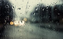 1749111700857.webp