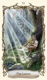 5.webp