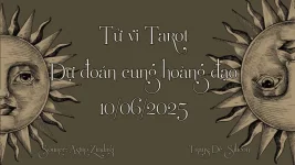BG-TVTR.webp