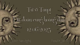 BG-TVTR.webp