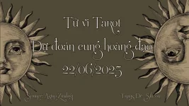 BG-TVTR.webp