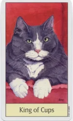 2.webp