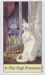 4.webp