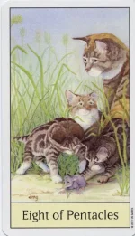5.webp