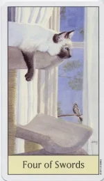 7.webp