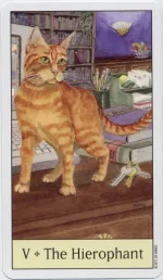 8.webp