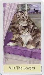 12.webp