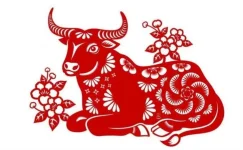 2-trau19-17-27-27.webp