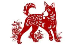 11-cho20-9-57-26.webp