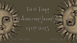 BG-TVTR.webp
