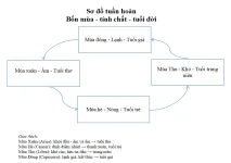 Picture2.webp