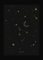 1753077404208.webp