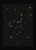 1753077420790.webp