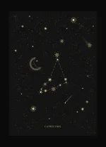 1753077463154.webp