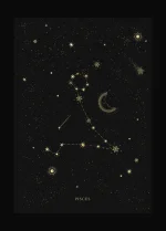 1753077480363.webp