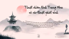 34073940_8136858.webp