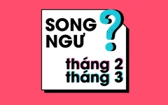 thumbnail-1688624830712221627223.png.webp