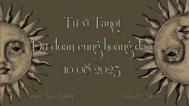 BG-TVTR.webp