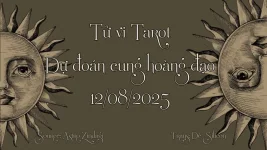 BG-TVTR.webp
