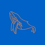 Trac-nghiem-hinh-ca-voi.webp