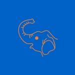 Trac-nghiem-hinh-voi.webp
