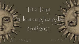 BG-TVTR.webp