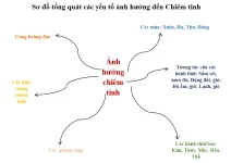Picture1.webp