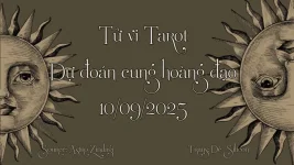 BG-TVTR.webp