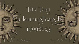 BG-TVTR.webp