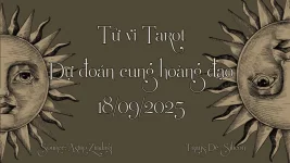 BG-TVTR.webp