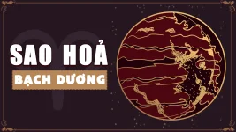 sao-hoa-bach-duong.webp