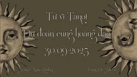 BG-TVTR.webp