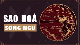sao-hoa-song-ngu.webp